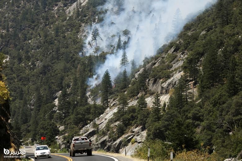 تصاویر آتش سوزی در جنگلهای کالیفرنیا 