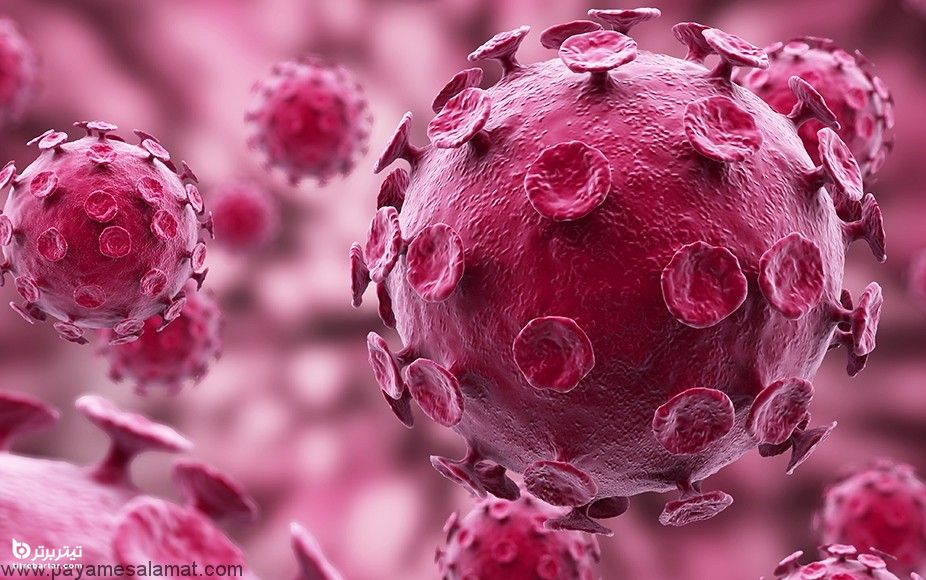 تفاوت بین ویروس HPV و زگیل های تناسلی