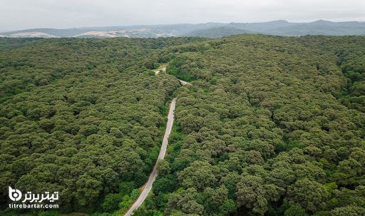 جنگل های حرا اکوتوریسم را تشویق می کنند