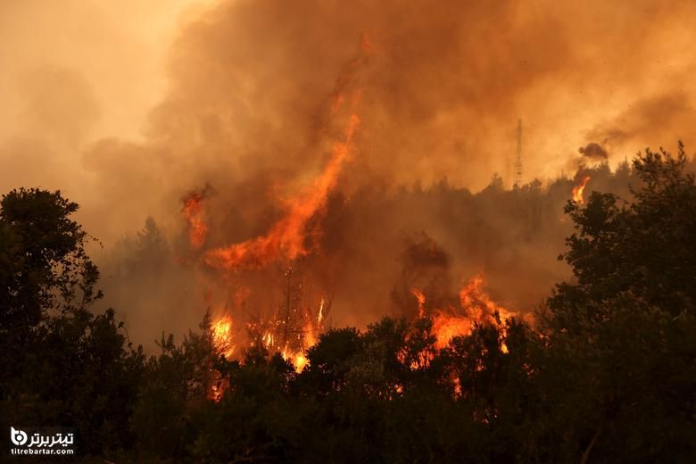 با آتش گرفتن آتش سوزی در روستای گالاتسونا ، در جزیره اوویا ، یونان ، شعله ها افزایش می یابد