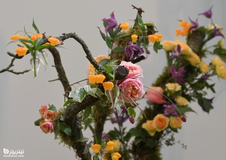 نمایشگاه گل و گیاه چلسی در سپتامبر 2021
