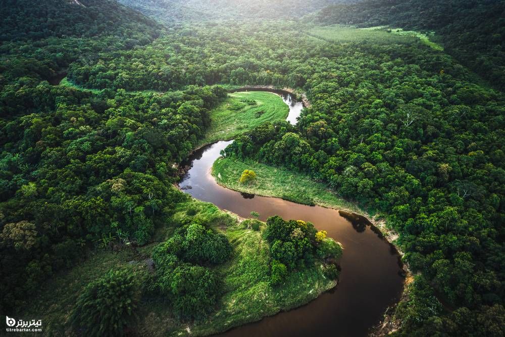 جنگل ابر Monteverde، کاستاریکا