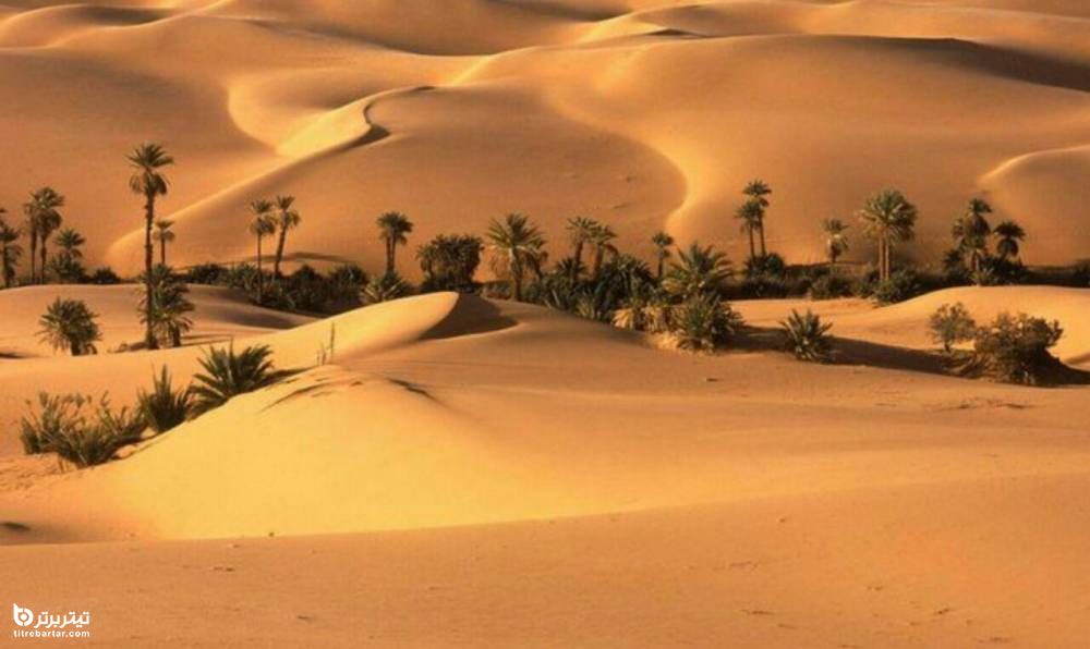 کویر ابوزیدآباد 