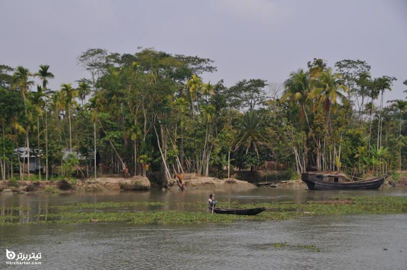 Sundarbansflickr/Jonas در چین