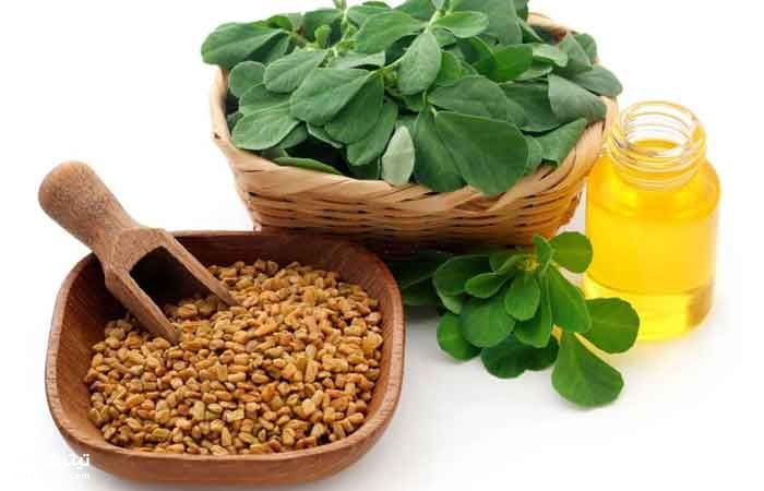 فواید شگفت انگیز برگ شنبلیله برای سلامتی