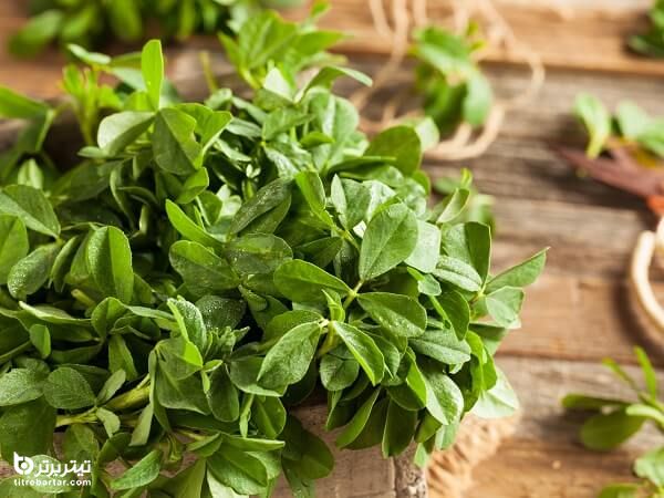 فواید شگفت انگیز برگ شنبلیله برای سلامتی