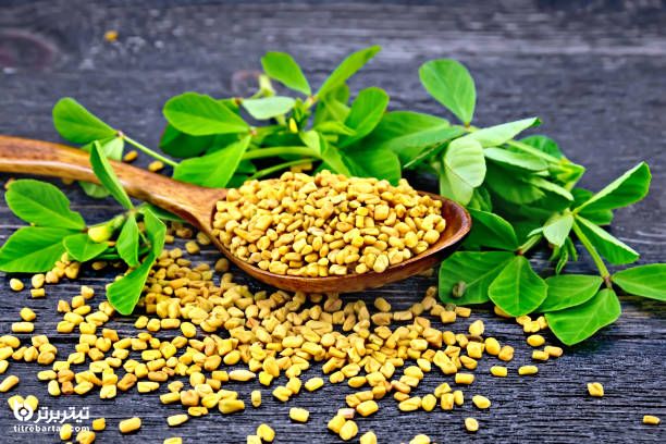 فواید شگفت انگیز برگ شنبلیله برای سلامتی
