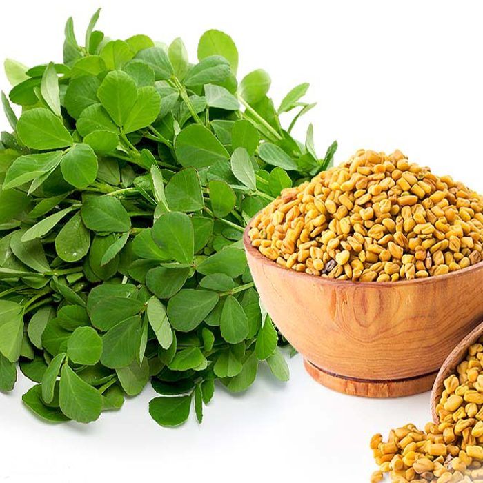 فواید شگفت انگیز برگ شنبلیله برای سلامتی