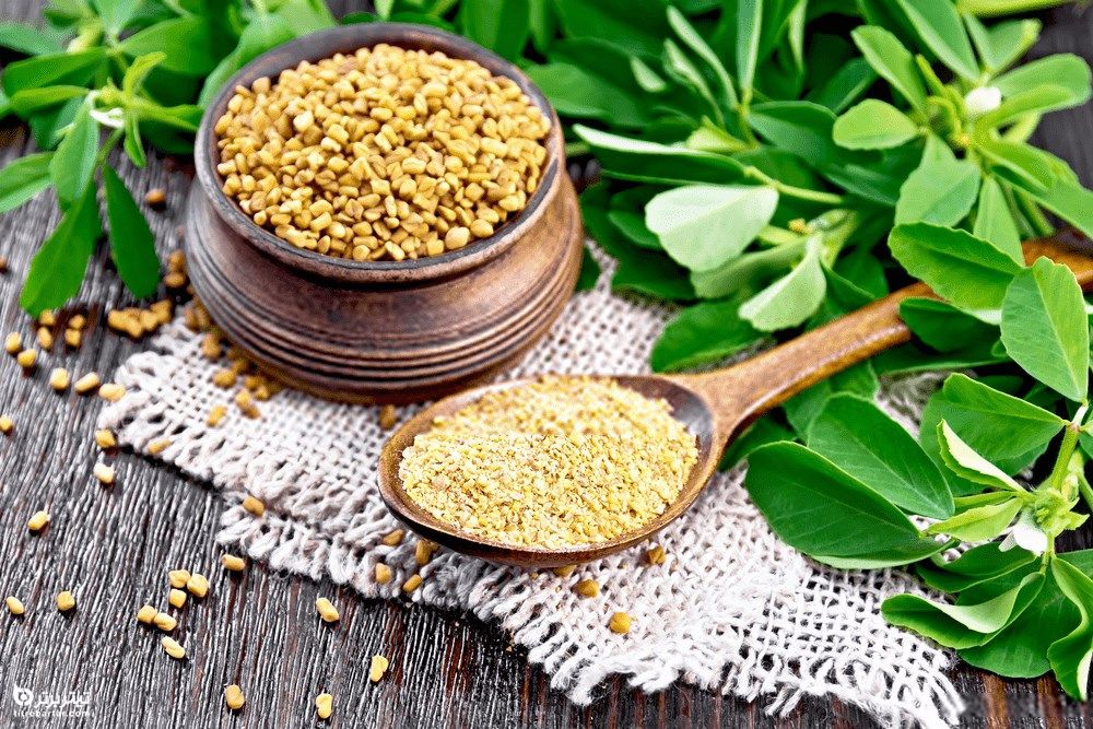فواید شگفت انگیز برگ شنبلیله برای سلامتی
