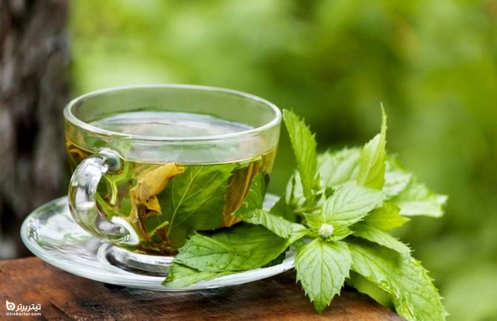 فواید چای نعناع برای سلامتی