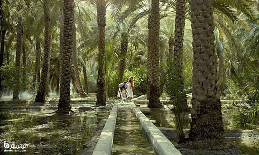 واحه العین