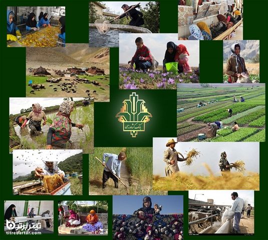 بانک کشاورزی