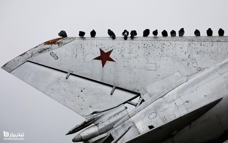 آرامش کبوترها بر روی هواپیمای جنگی منسوخ شده در روسیه