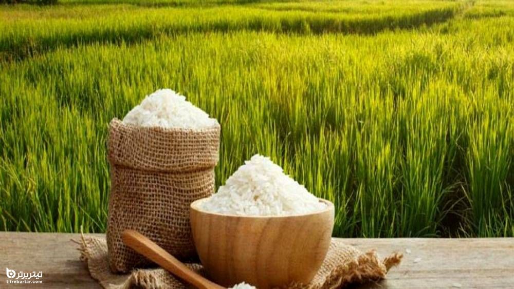 نحوه تشخیص نوع برنج