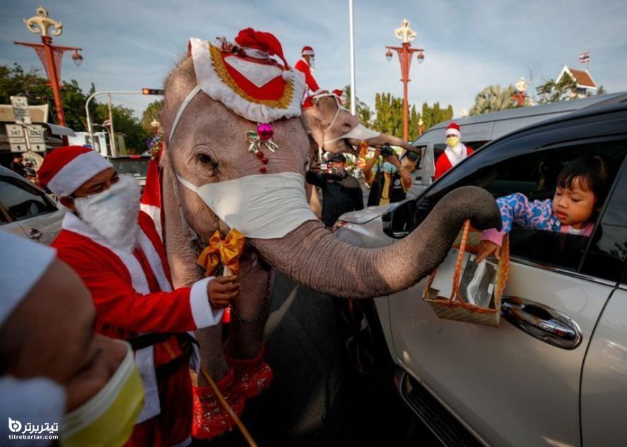  فیل‌های تایلندی با هیبت بابانوئل به کودکان حاشیه‌نشین ماسک هدیه دادند
