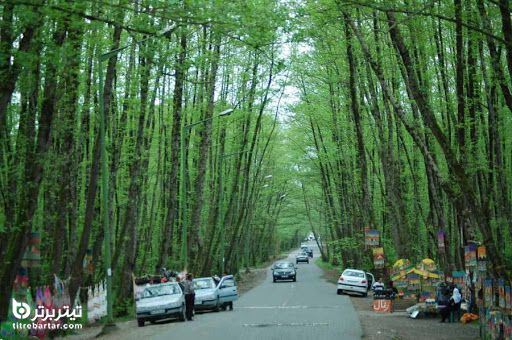 راه دسترسی به جنگل گیسوم