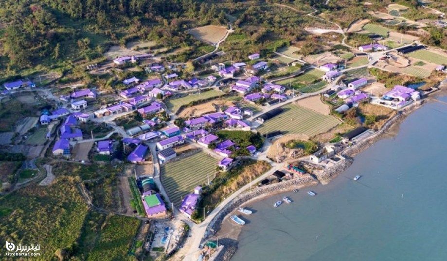 رنگ آمیزی جزیره بانوول در کره جنوبی به رنگ بنفش یاسی برای جلب توجه گردشگران