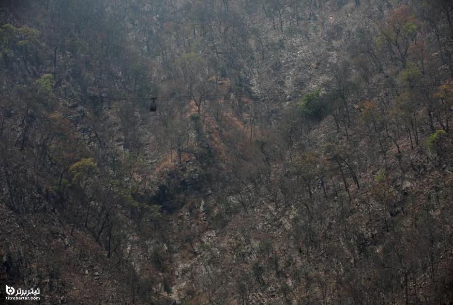 درختان سوخته پس از آتش سوزی جنگل در ماکوانپور ، حومه کاتماندو 