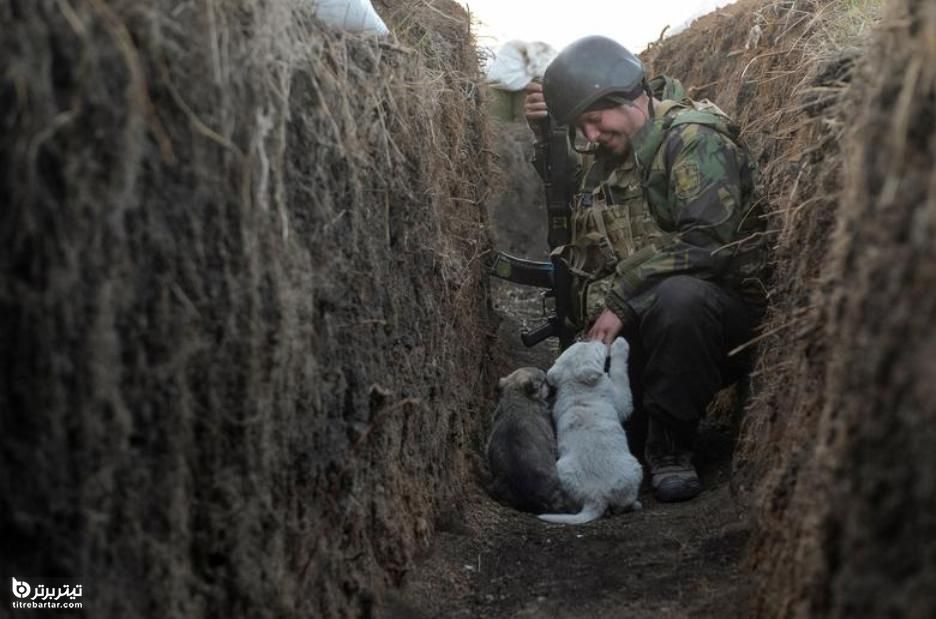 بازی یکی از نیروهای مسلح اوکراین با توله سگها در منطقه جنگی 
