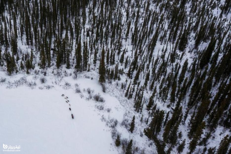 عبور تیم سگ های سورتمه از یک دریاچه یخ زده در آلاسکا 