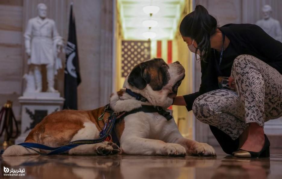 افسر کلارنس اولین سگ رسمی پلیس در ماساچوست