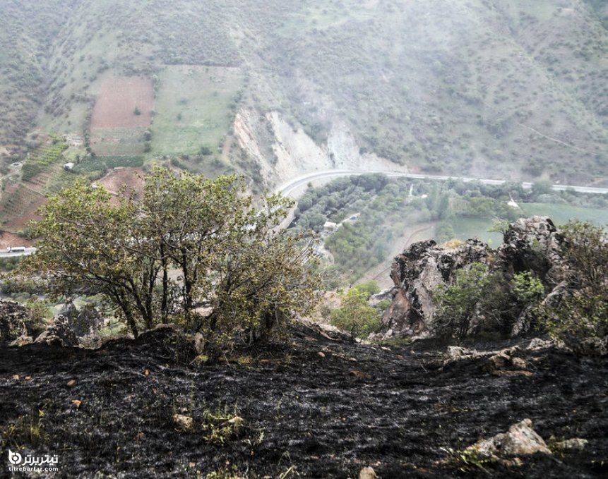 مهار آتش‌سوزی جنگل‌های بلوط سنندج در استان کردستان