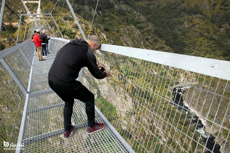  طولانی ترین پل معلق پیاده جهان