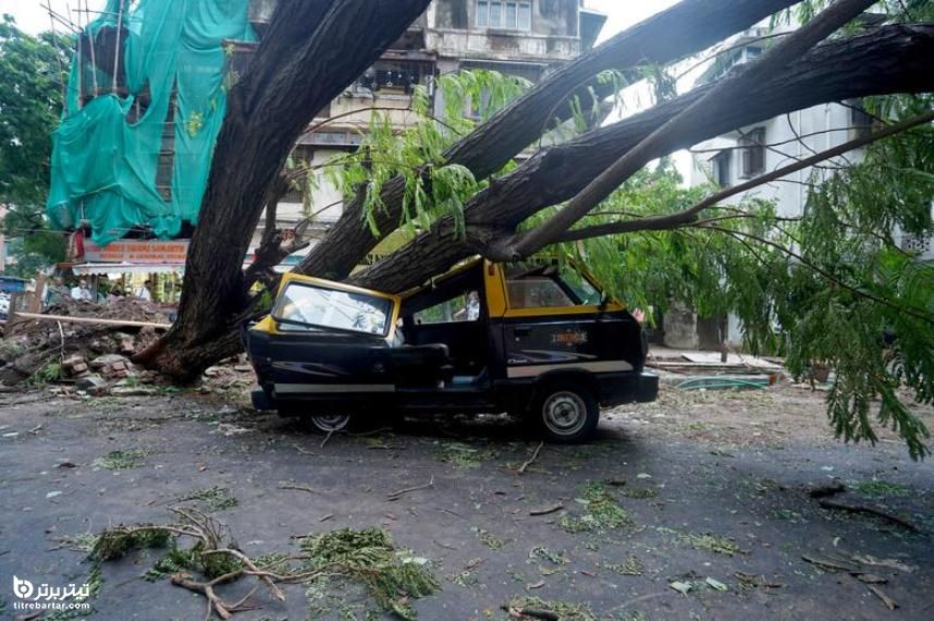 سقوط یک درخت بر روی یک وسیله نقلیه پس از وزش باد شدید در هند