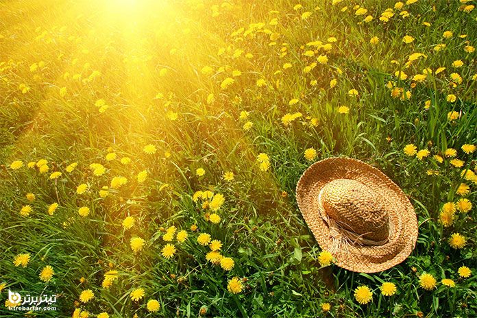 توصیه های هواشناسی کشاورزی تا 12 خرداد