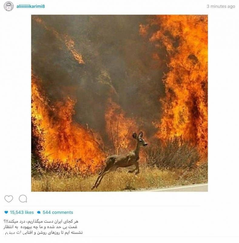 واکنش دردناک علی کریمی به آتش گرفتن جنگل‌های زاگرس