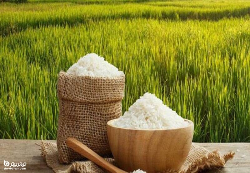 علت اصلی گرانی برنج چیست؟