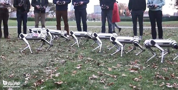 نمایش ورزشی یوزپلنگهای ربات‌!