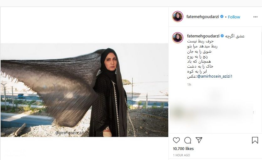 ماجرای تصویرعاشقانه فاطمه گودرزی