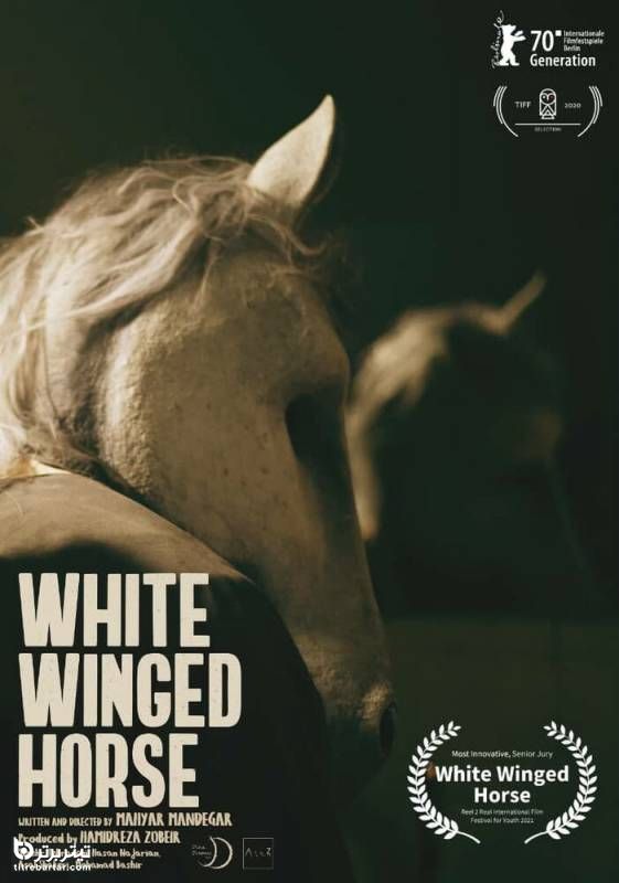 معرفی فیلم اسب سفید بالدار