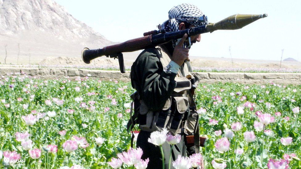 علت اصلی سقوط شهرهای افغانستان به دست طالبان