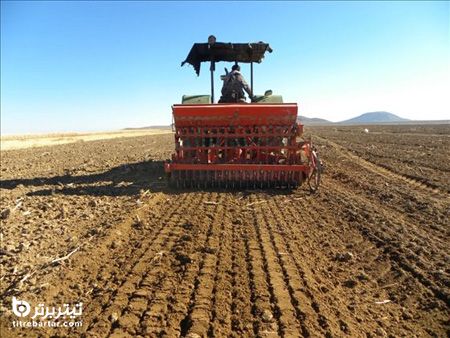 بهترین خاک مناسب کاشت زعفران