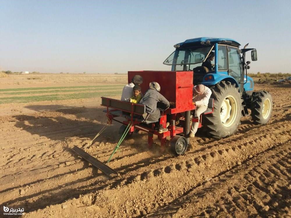 خاک سازگار برای کشت زعفران
