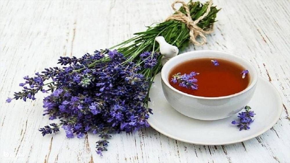  نقش گل گاوزبان برای درمان فشارخون