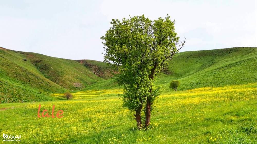 تصاویر زیبا از روستای تورجان