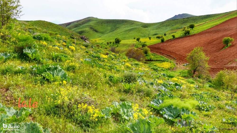 تصاویر زیبا از روستای تورجان