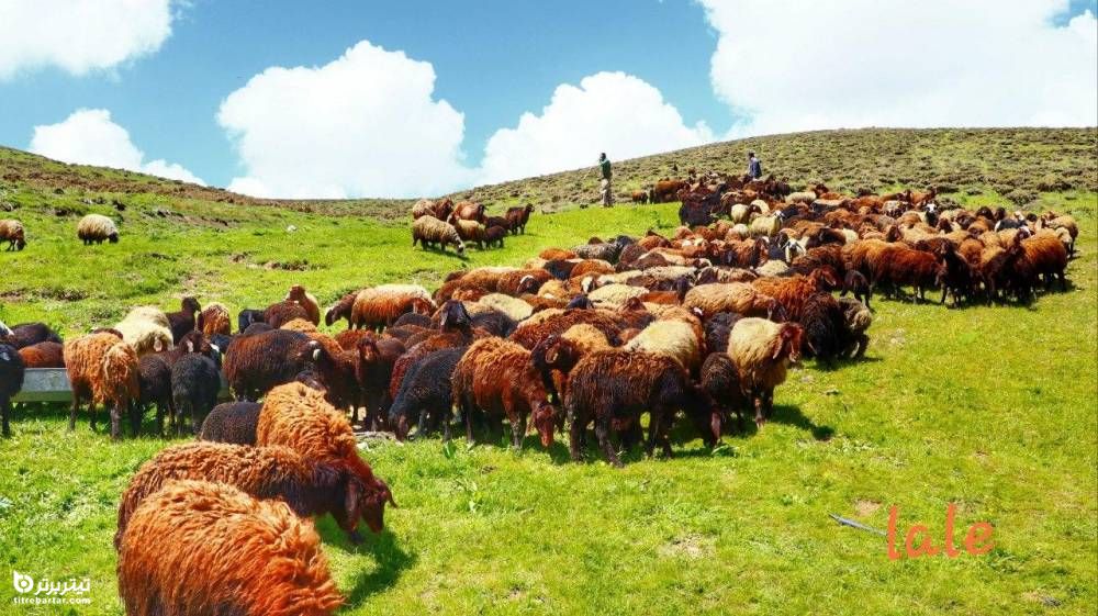 تصاویر زیبا از روستای تورجان