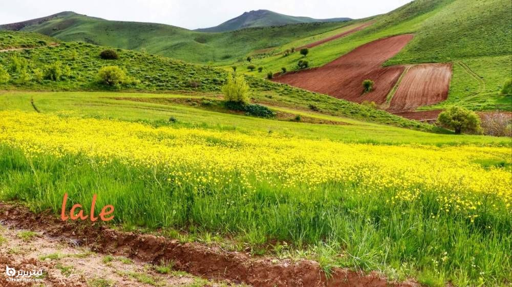 تصاویر زیبا از روستای تورجان