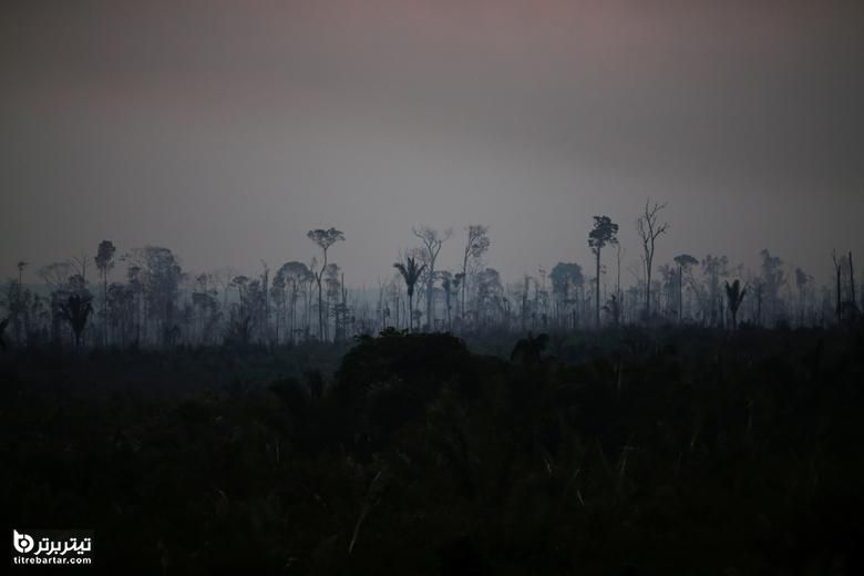 آتش سوزی در بخشی از جنگل های آمازون
