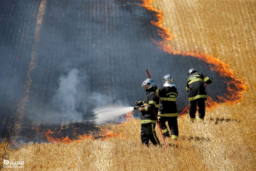 آتش نشانان فرانسوی درحال خاموش کردن آتشسوزی مزارع گندم