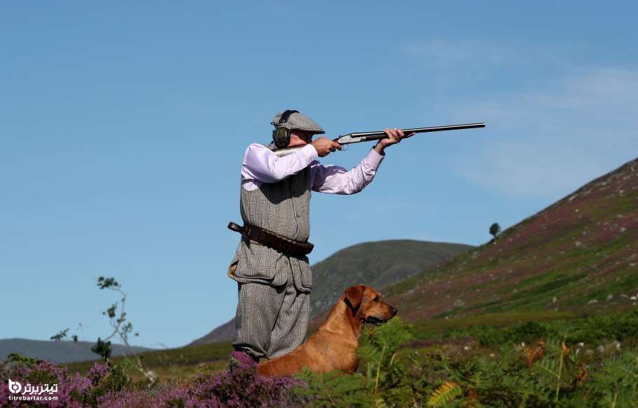 بازگشایی یک شکارگاه پس از شیوع کرونا در اسکاتلند 