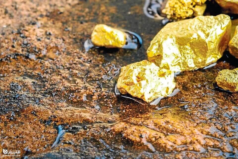 طلا در ایران ارزان شد