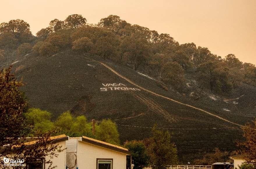 اثرات آتش سوزی کالیفرنیا