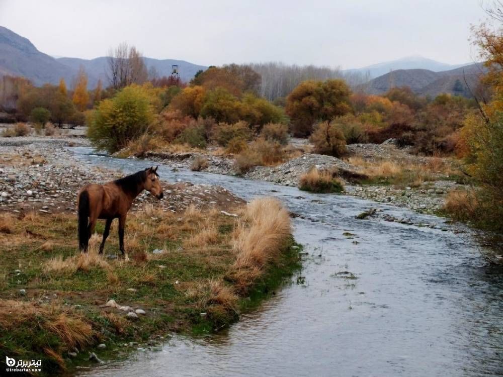 اکوسیستم پارک خجیر
