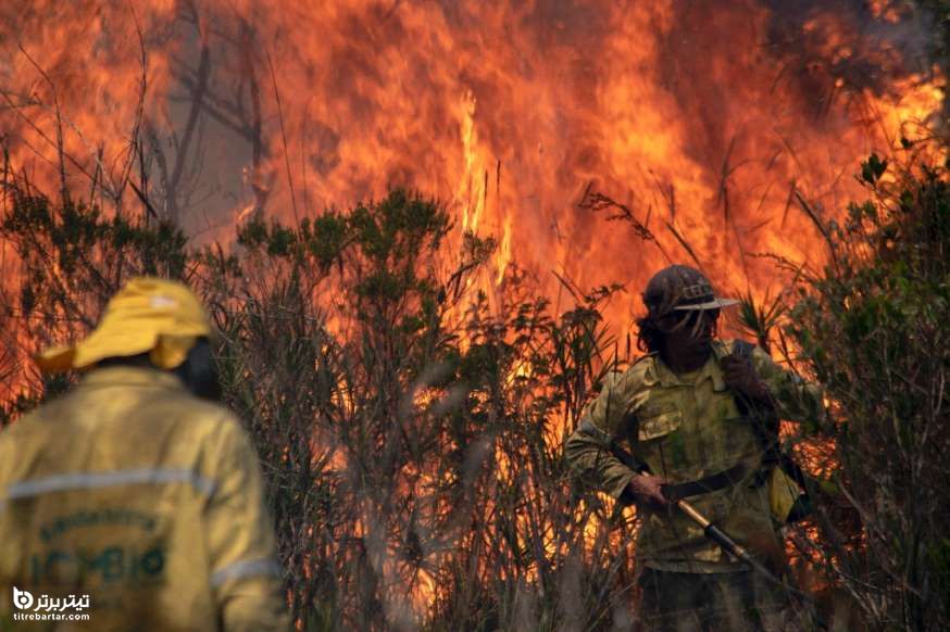 آتش سوزی در پارک ملی ایالت باهیا، برزیل