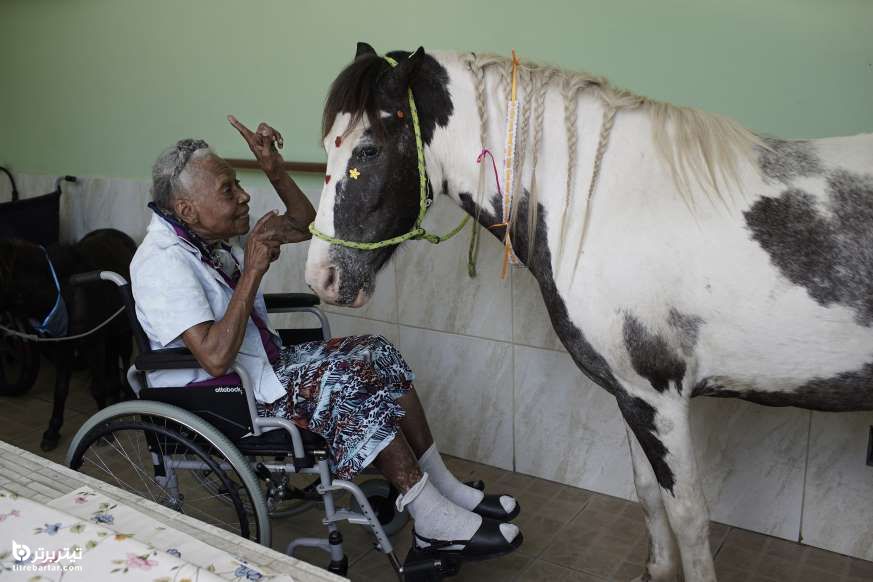 صحبت های زن سالخورده بایک اسب در ریودوژانیرو ، برزیل